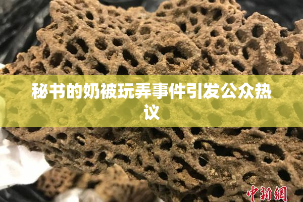 秘书的奶被玩弄事件引发公众热议