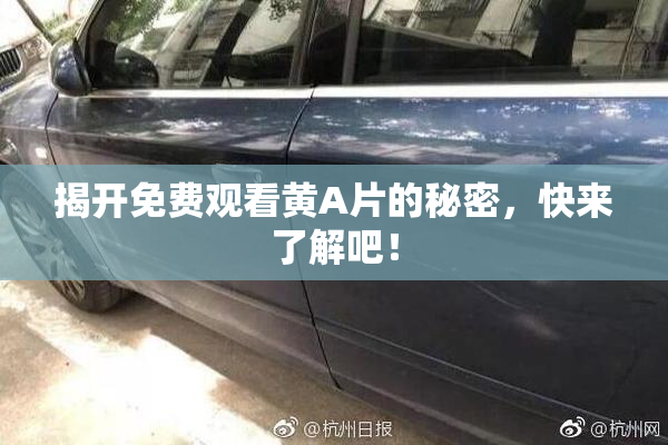揭开免费观看黄A片的秘密，快来了解吧！