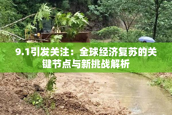 9.1引发关注：全球经济复苏的关键节点与新挑战解析