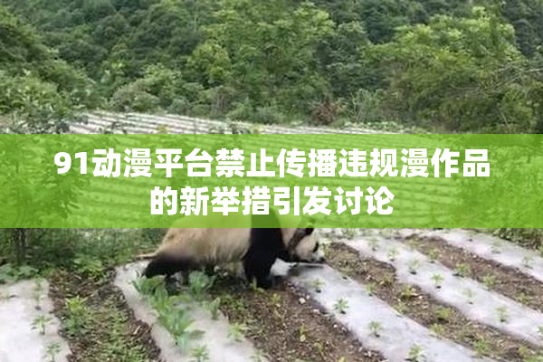 91动漫平台禁止传播违规漫作品的新举措引发讨论