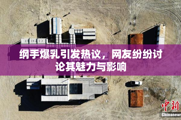 纲手爆乳引发热议，网友纷纷讨论其魅力与影响