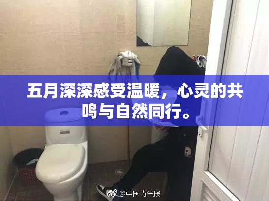五月深深感受温暖，心灵的共鸣与自然同行。