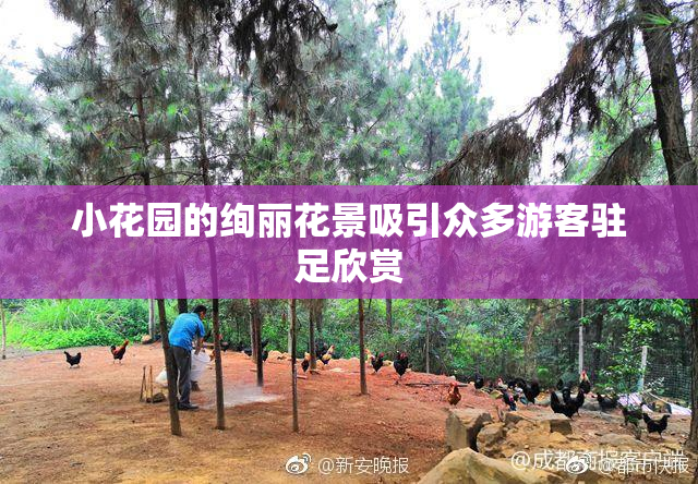 小花园的绚丽花景吸引众多游客驻足欣赏