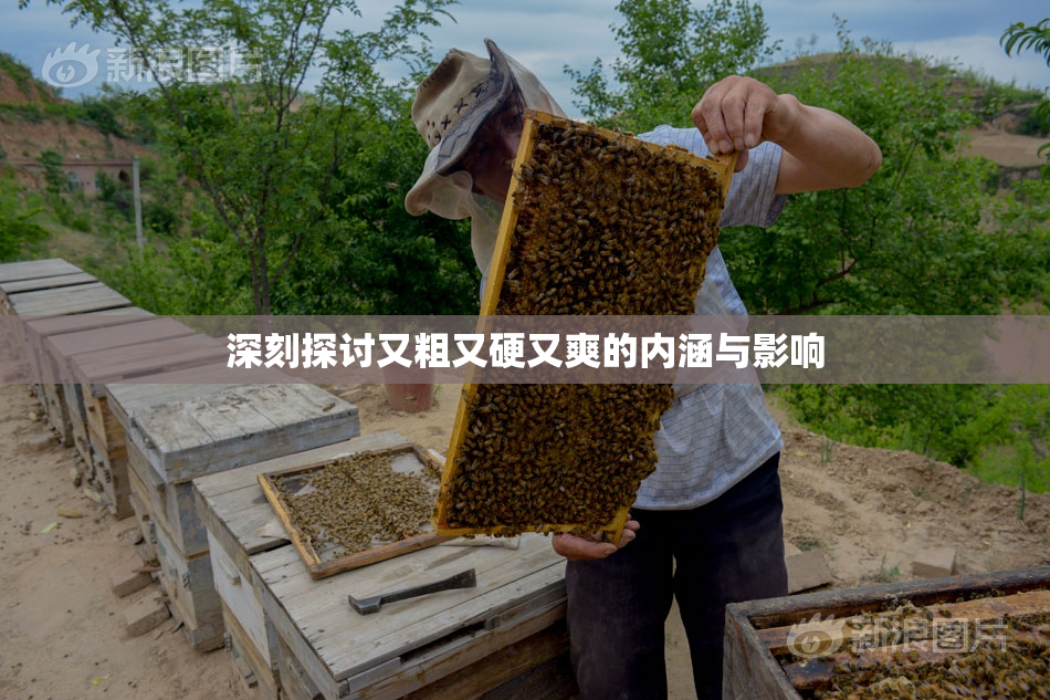 深刻探讨又粗又硬又爽的内涵与影响