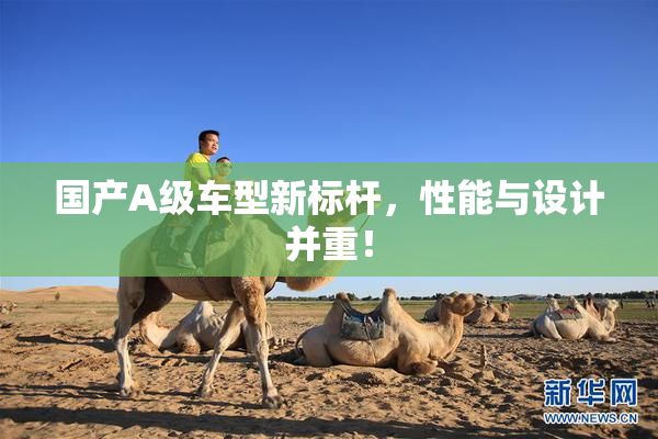 国产A级车型新标杆，性能与设计并重！