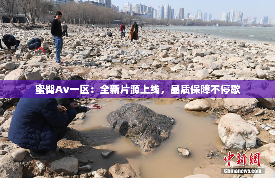 蜜臀Av一区：全新片源上线，品质保障不停歇