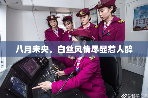 八月未央，白丝风情尽显惹人醉