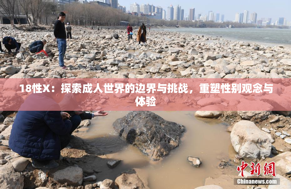 18性X：探索成人世界的边界与挑战，重塑性别观念与体验