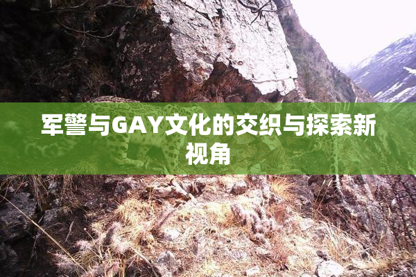 军警与GAY文化的交织与探索新视角