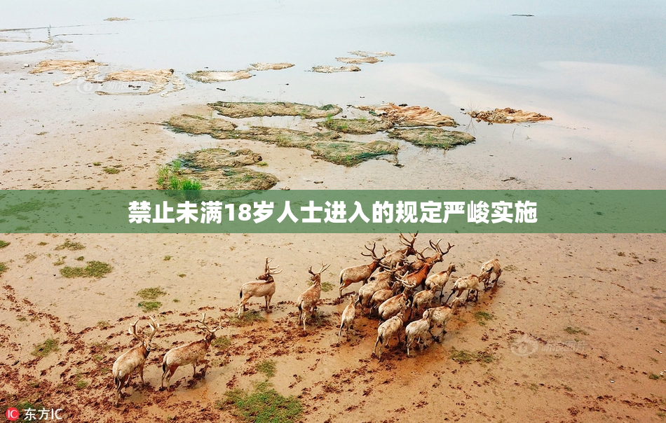 禁止未满18岁人士进入的规定严峻实施