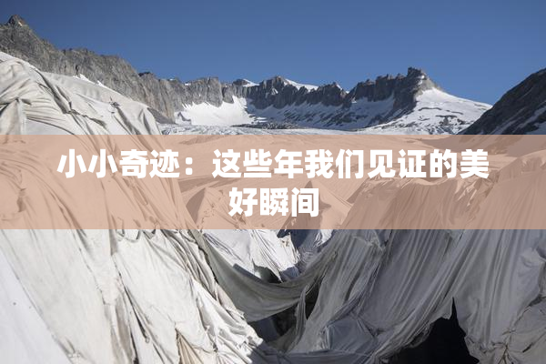 小小奇迹：这些年我们见证的美好瞬间