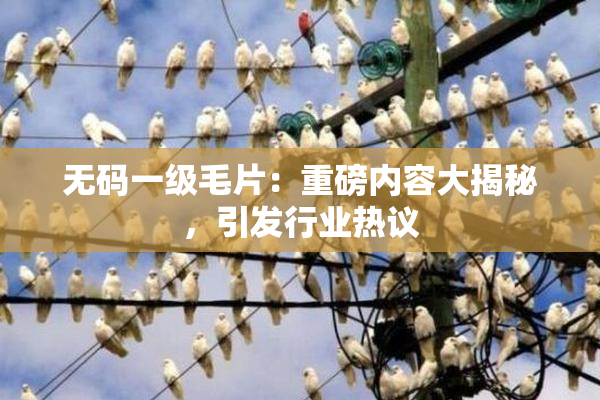 无码一级毛片：重磅内容大揭秘，引发行业热议