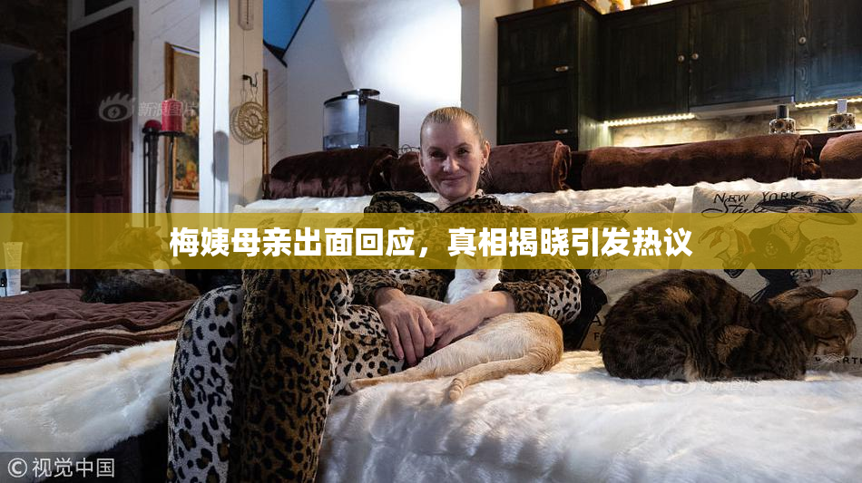梅姨母亲出面回应，真相揭晓引发热议