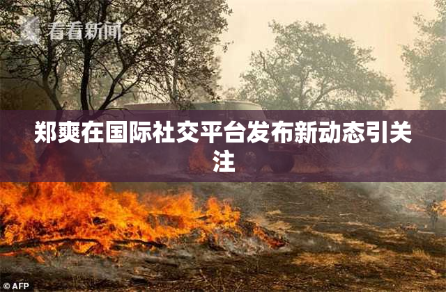郑爽在国际社交平台发布新动态引关注