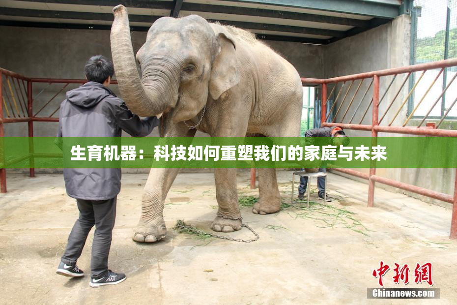 生育机器：科技如何重塑我们的家庭与未来