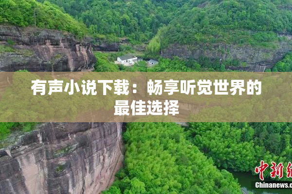 有声小说下载：畅享听觉世界的最佳选择