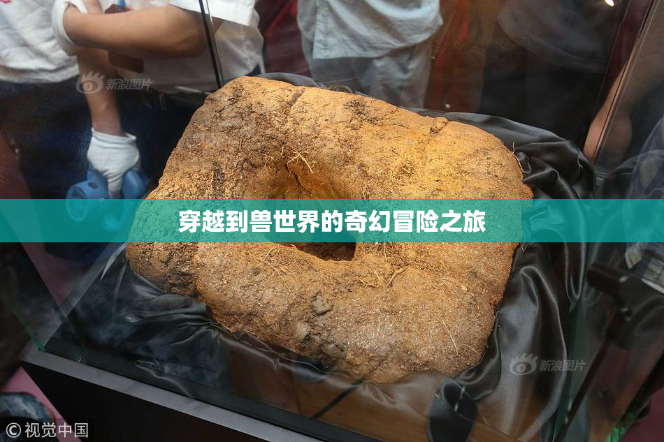 穿越到兽世界的奇幻冒险之旅