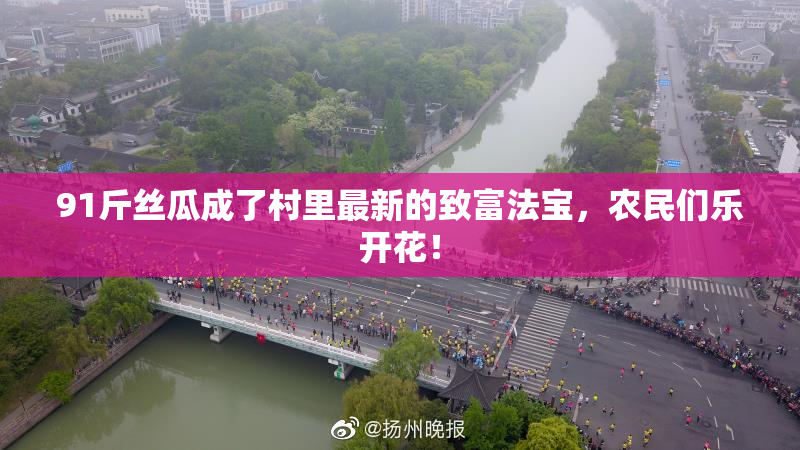 91斤丝瓜成了村里最新的致富法宝，农民们乐开花！