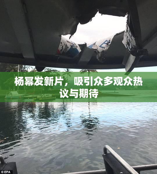 杨幂发新片，吸引众多观众热议与期待