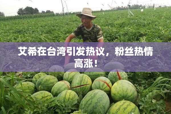 艾希在台湾引发热议，粉丝热情高涨！