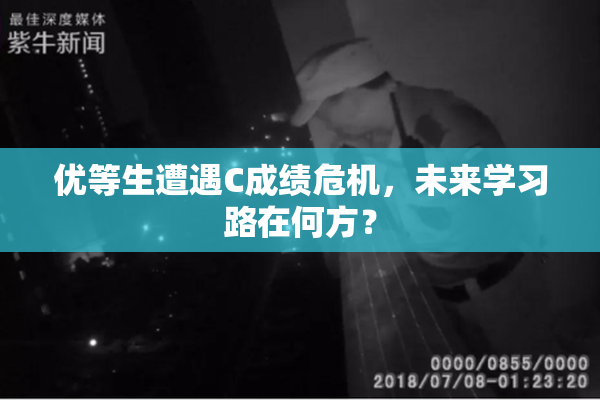 优等生遭遇C成绩危机，未来学习路在何方？