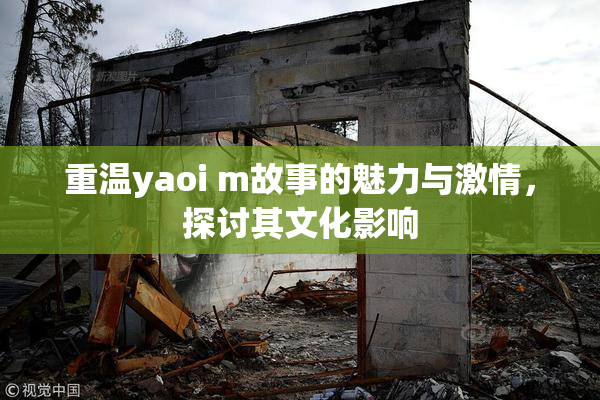 重温yaoi m故事的魅力与激情，探讨其文化影响