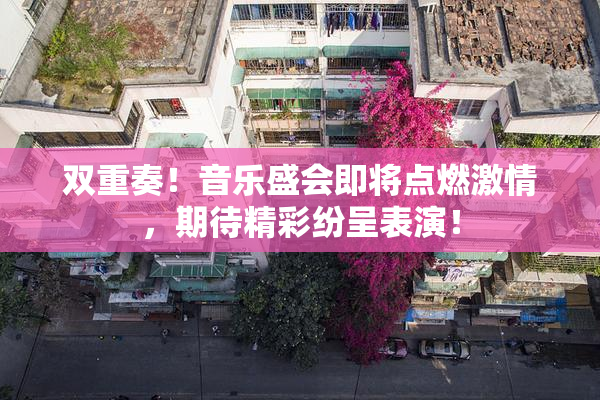 双重奏！音乐盛会即将点燃激情，期待精彩纷呈表演！