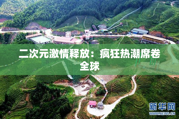 二次元激情释放：疯狂热潮席卷全球