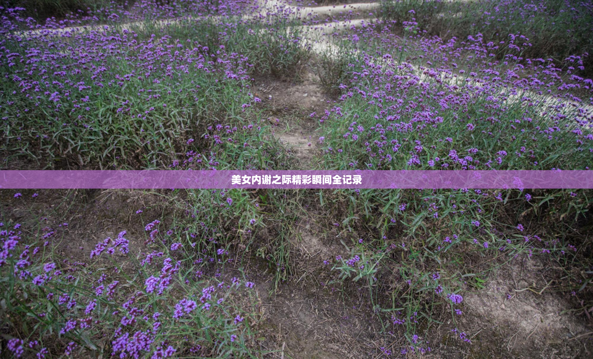 美女内谢之际精彩瞬间全记录