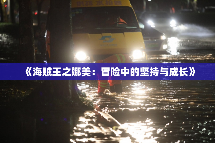 《海贼王之娜美：冒险中的坚持与成长》