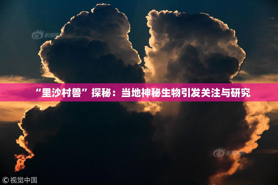 “里沙村兽”探秘：当地神秘生物引发关注与研究