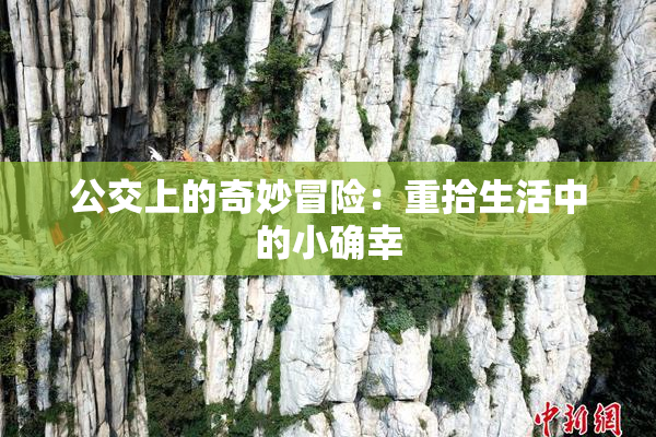公交上的奇妙冒险：重拾生活中的小确幸