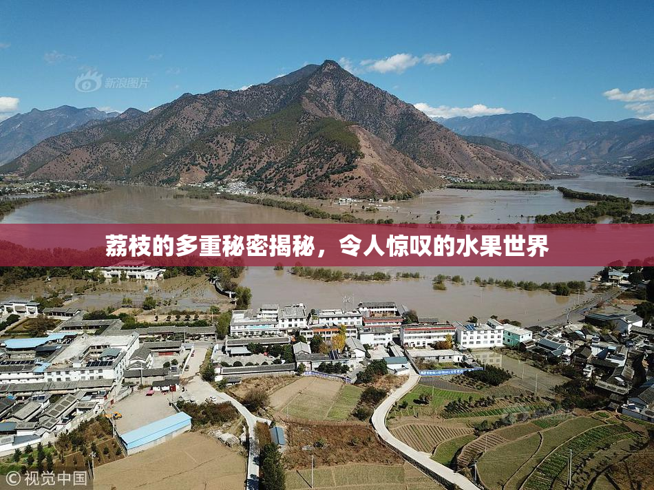 荔枝的多重秘密揭秘，令人惊叹的水果世界
