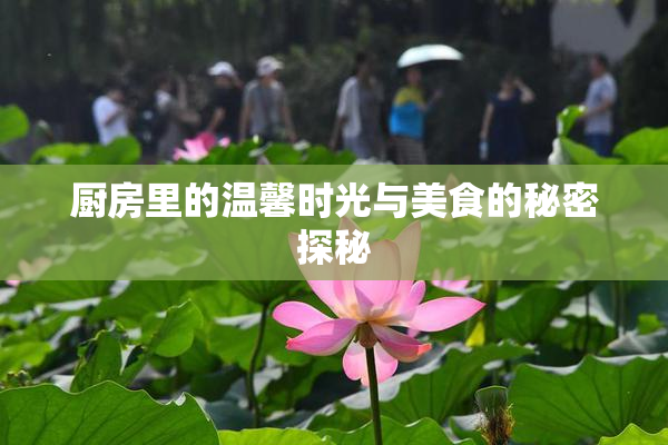 厨房里的温馨时光与美食的秘密探秘