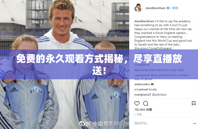 免费的永久观看方式揭秘，尽享直播放送！