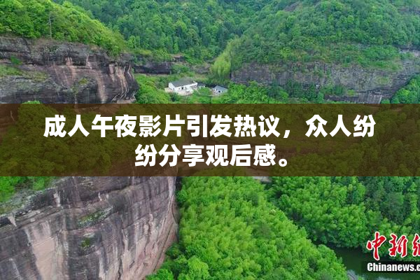 成人午夜影片引发热议，众人纷纷分享观后感。