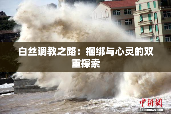 白丝调教之路：捆绑与心灵的双重探索