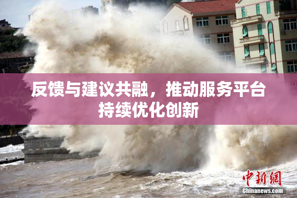 反馈与建议共融，推动服务平台持续优化创新