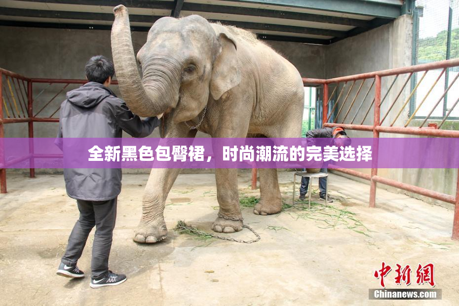 全新黑色包臀裙，时尚潮流的完美选择