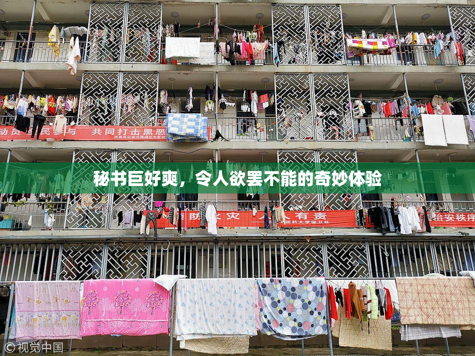 秘书巨好爽，令人欲罢不能的奇妙体验