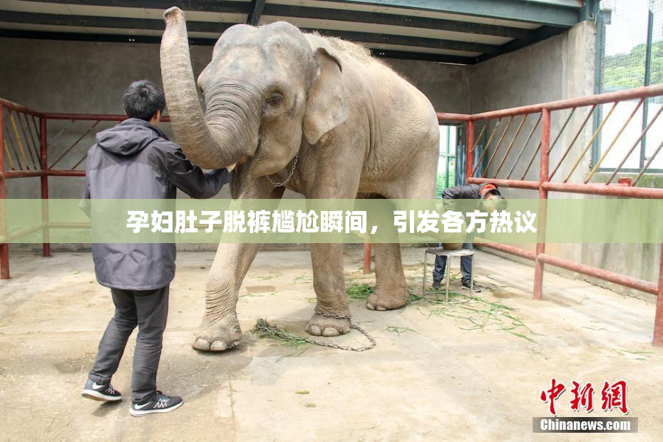 孕妇肚子脱裤尴尬瞬间，引发各方热议