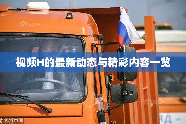 视频H的最新动态与精彩内容一览