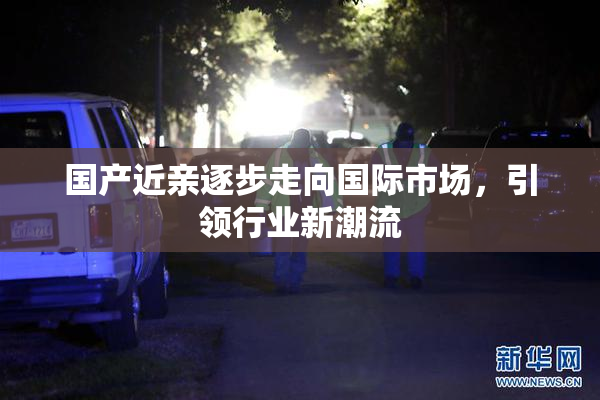 国产近亲逐步走向国际市场，引领行业新潮流