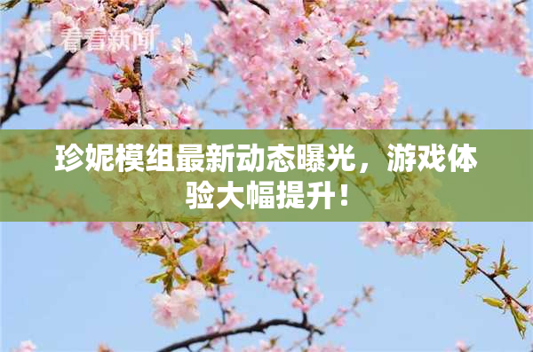 珍妮模组最新动态曝光，游戏体验大幅提升！