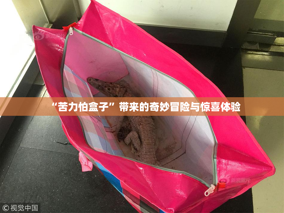 “苦力怕盒子”带来的奇妙冒险与惊喜体验