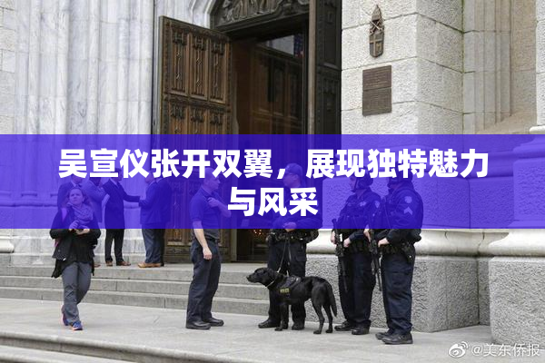 吴宣仪张开双翼，展现独特魅力与风采