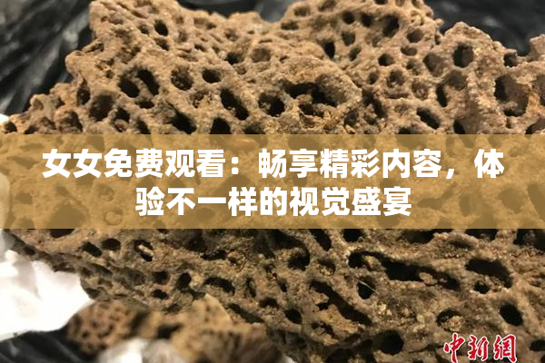 女女免费观看：畅享精彩内容，体验不一样的视觉盛宴