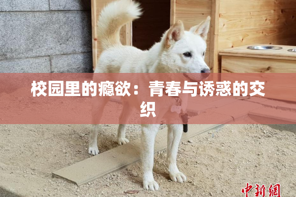 校园里的瘾欲：青春与诱惑的交织