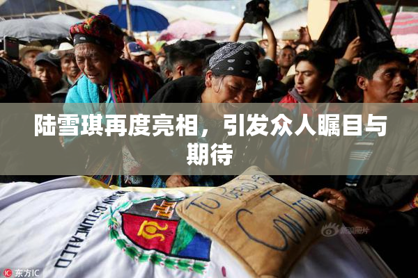 陆雪琪再度亮相，引发众人瞩目与期待