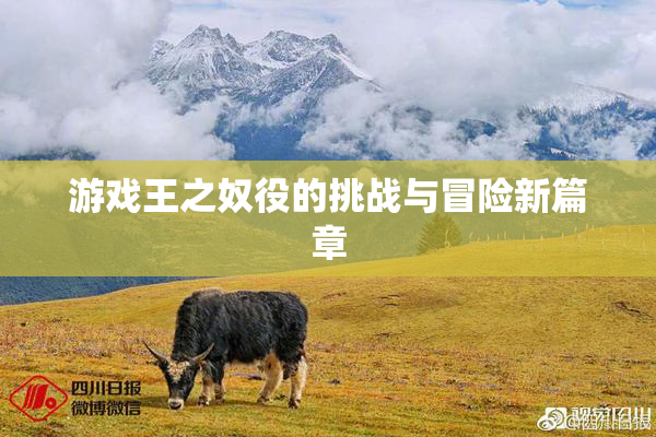 游戏王之奴役的挑战与冒险新篇章